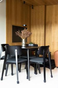 Laguna Beskidów CHYBA ŚNISZ, Jezioro Żywieckie