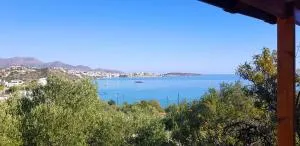 Allas, Guest Art - Mardhátion