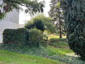 Appartements GITES Maisons de Champagnes : photos des chambres