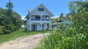 Tropical Beach House