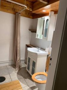 Cozy Zweeds huis met openhaard en grote tuin