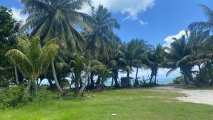 Tropical Beach House