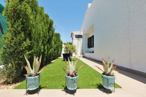Bungalow in Dehesa de Campoamor 900 meters from the beach
