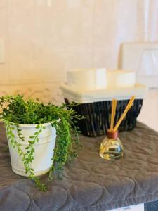 Benvenuti in Casa Peluca!