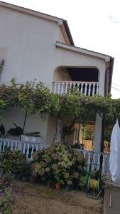 Apartmani Roza Lopar