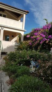 Apartmani Roza Lopar 