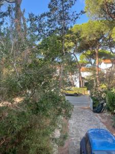 Villa Il boschetto