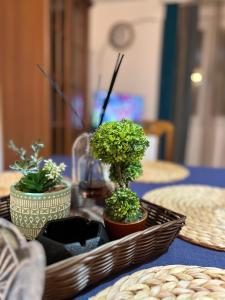 Blue Shell Apartments