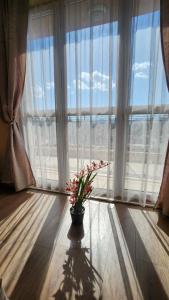 Budget overnight- Struma highway