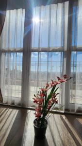 Budget overnight- Struma highway