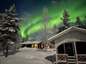 Forest Cabin in Swedish Lapland - A Retreat to Silence and Nature