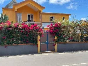 Hibiscus chez Arielle - Trèfles