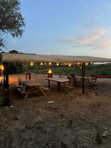 Appartements a la ferme : photos des chambres