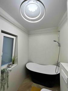 Your condo in Timisoara. Reeas Apart. with pool