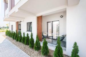 Your condo in Timisoara. Reeas Apart. with pool