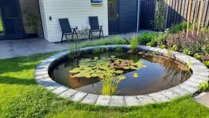 B&B ZEEUWS KNOOPJE - Renesse