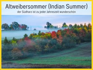 MARKs Ferienwohnung in Bad Sachsa - waldnah, hundefreundlich, ruhig! Ideal für Paare mit Hund
