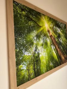 Zentrumsnahe Wohnung