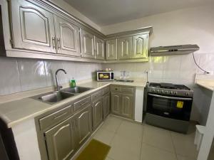 Santiago City Center Huge nice Apartment to stay rooftop to enjoy the city view