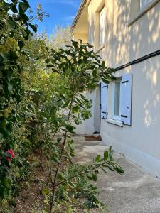 Le Pistachier - Maison cozy avec jardin privatif