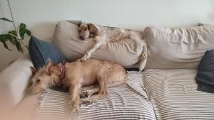 Lovely Bedroom in Aljezur