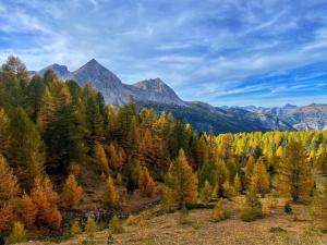 Appartements La Kaz montagne : photos des chambres