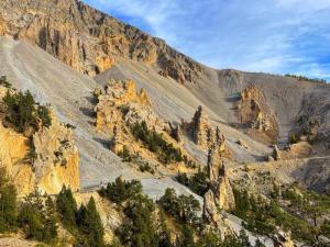Appartements La Kaz montagne : photos des chambres