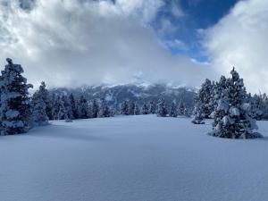 Appartements La Kaz montagne : photos des chambres