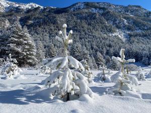 Appartements La Kaz montagne : photos des chambres