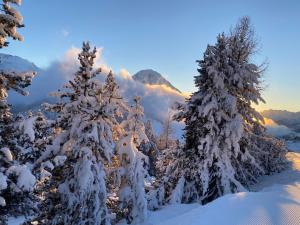 Appartements La Kaz montagne : photos des chambres