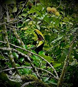 Casita Verde, 800 mts from beach