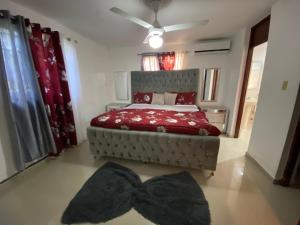 Santo Domingo Paradise V - #211