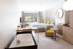 Hotels Crowne Plaza Lyon Parc de la Tete d'Or : Chambre Exécutive avec Grand Lit - Vue sur le Parc - Non remboursable