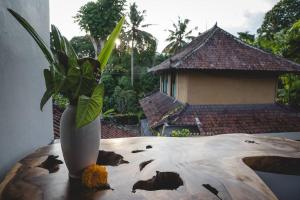 IMMERSE@Vishnu 11:11 Penestanan UBUD Studio