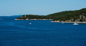 Apartments Villa Laguna with pool