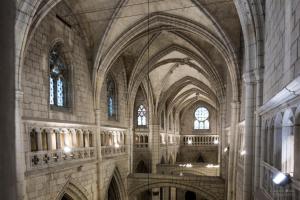 Luxury Pintoreria Atico