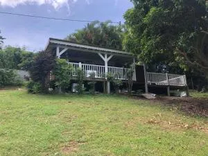 Mango - Quartier Piton