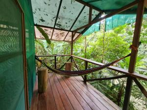 Rio Agujitas Eco jungle - Island and Corcovado tours