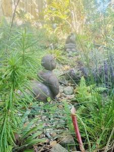 Birdsong Retreat on Lamb Island