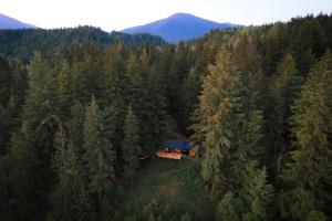 Kootenay Lakeview Retreats - Forest Cabin