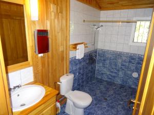 Maisons de vacances Les Chalets Cobadena-Borda Pays Basque : photos des chambres