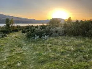 Syndin seter - Ryfoss