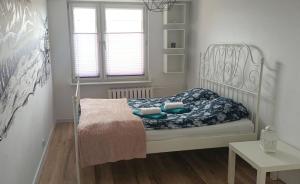 Apartament na wynajem