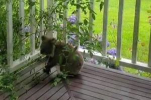 Ocean-view Hilltop Retreat