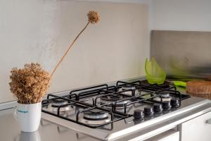 Tenuta Quattro Volpi