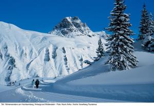 Widderstein Apartments - 3hvězdičkové hotely ve městě Schröcken