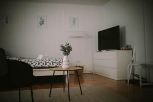 Studio Apartment E&D, free private parking, loggia