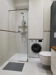 Cozy spacious apartment with balcony