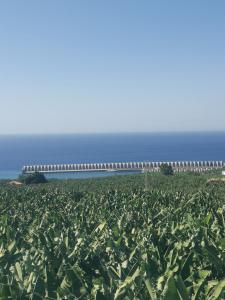 Casa Las Tías Tazacorte