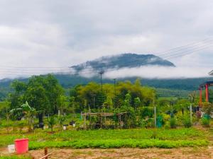 ภูระเริงวิลล่า วังน้ำเขียว Phu Raroeng Villa